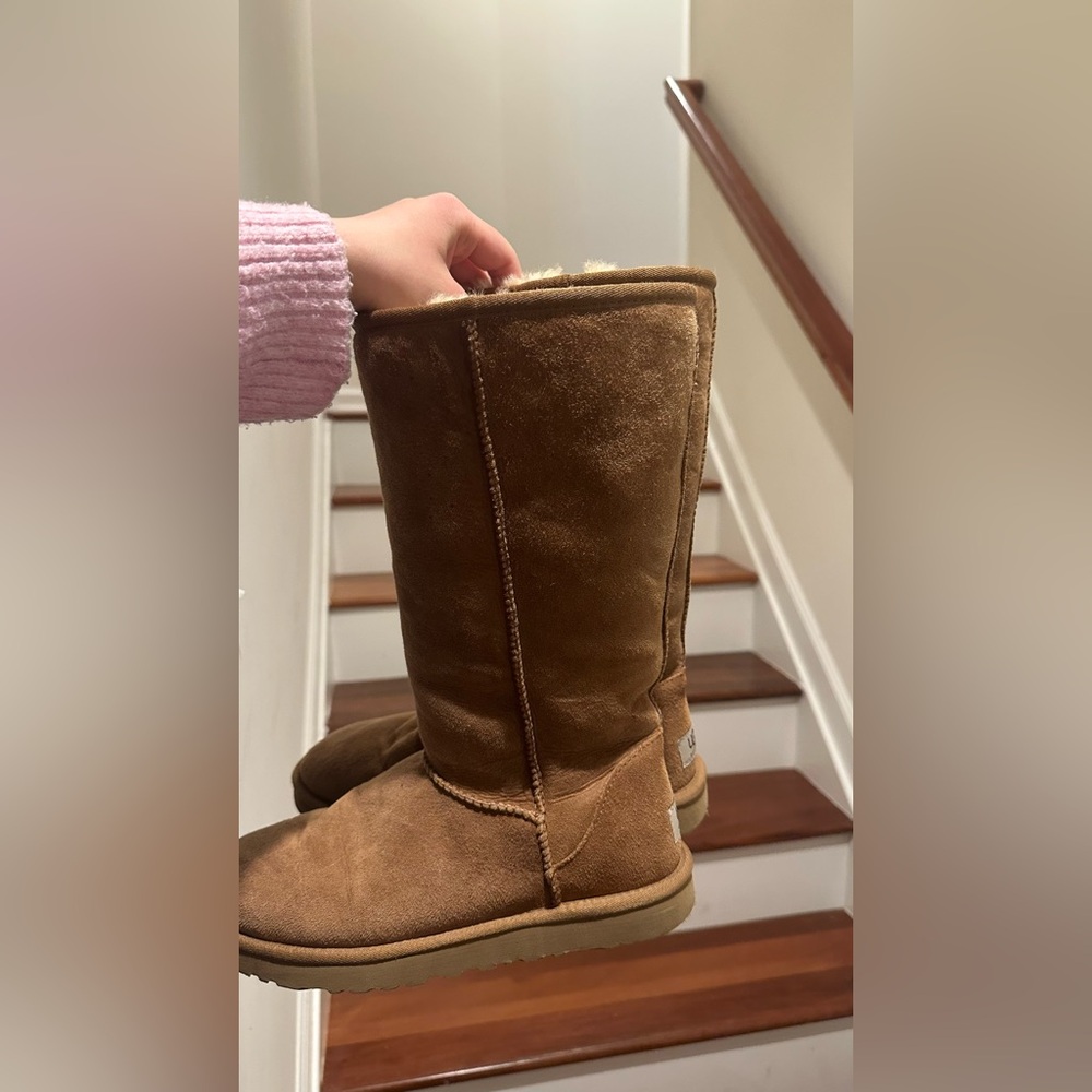 Tall Chestnut Ugg Boots